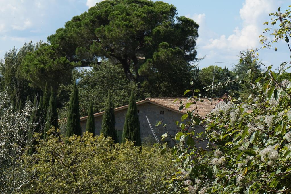 Bed and Breakfast Casa Lucia In Chianti Vagliagli Екстер'єр фото