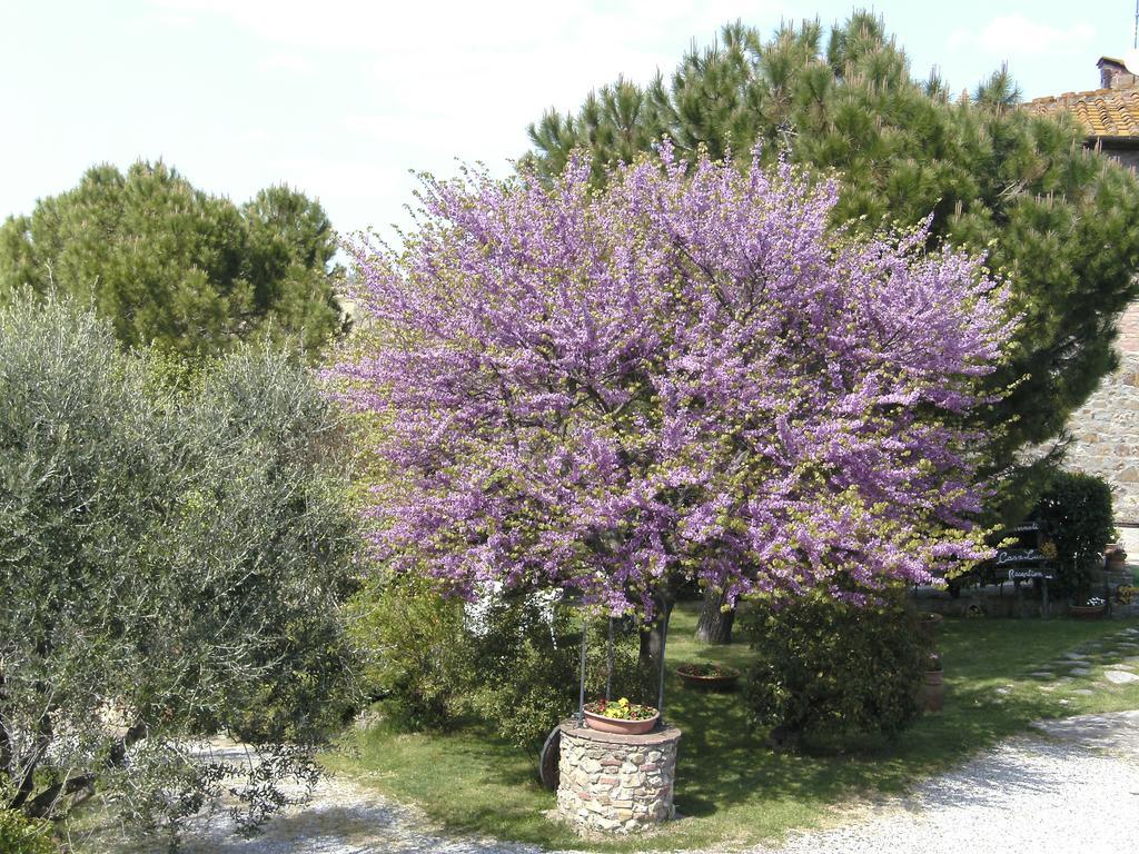 Bed and Breakfast Casa Lucia In Chianti Vagliagli Екстер'єр фото